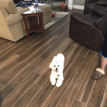 The Bark & Collar - Pet Groomers Near Me - Poway, California