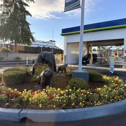 Brown Bear Car Wash - 8/22/26