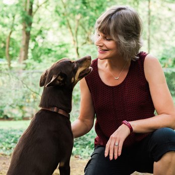 The Pawsitive Companion - Pet Training Near Me The Pawsitive Companion - Pet Training Near Me