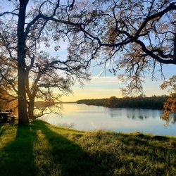 American River Parkway - Hazel Access - Overlooking Lake Natoma