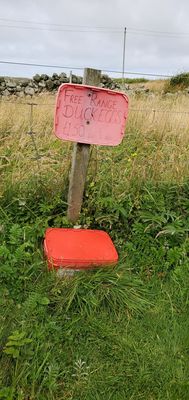 Tangwick Haa Museum by null