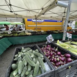 Millbrae Farmers' Market - Great veggie selection