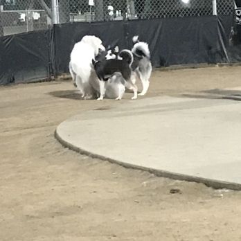 Costa Mesa Bark Park - Dog Parks Near Me - Costa Mesa, California Costa Mesa Bark Park - Dog Parks Near Me - Costa Mesa, California