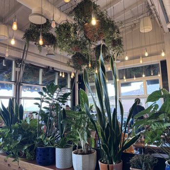 Blanco Cocina + Cantina - Tacos Near Me - Tucson, Arizona