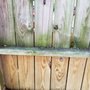Arlington Pressure Washing