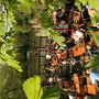Photo of Hellers Volksgarten