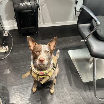 Salon de la Torriente - Hair Salons Near Me - Escondido, California Salon de la Torriente - Hair Salons Near Me - Escondido, California