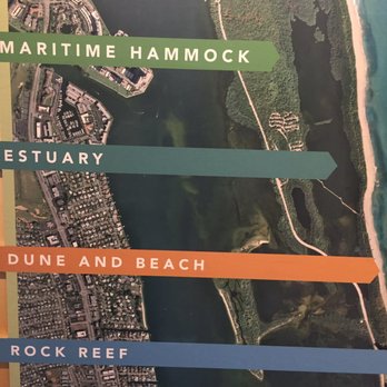 John D. MacArthur Beach State Park - The different zones of MacArthur Park - Parks Near Me - Palm Beach, Florida