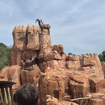 Big Thunder Mountain Railroad - Amusement Parks Near Me - Orlando, Florida