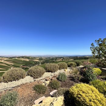 DAOU Vineyards - Wineries Near Me - Paso Robles, California DAOU Vineyards - Wineries Near Me - Paso Robles, California