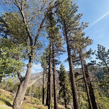 Wrightwood Parks & Recreation - Parks Near Me - Wrightwood, California Wrightwood Parks & Recreation - Parks Near Me - Wrightwood, California