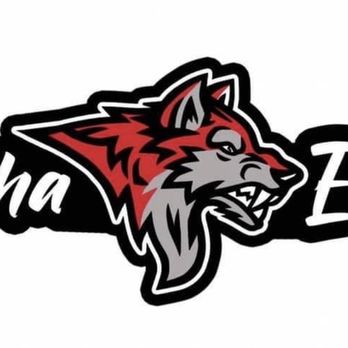 Alpha Elite Academy - Logo - Martial Arts Near Me - Montgomery, Alabama Alpha Elite Academy - Logo - Martial Arts Near Me - Montgomery, Alabama
