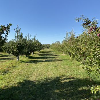 Blue Jay Orchards - Farmers Market Near Me - Bethel, Connecticut