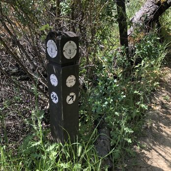 Pleasanton Ridge Regional Park - Parks Near Me - Pleasanton, California
