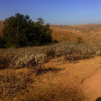 Sycamore Canyon Wilderness Park - Nice dessertic view:-) - Parks Near Me - Riverside, California Sycamore Canyon Wilderness Park - Nice dessertic view:-) - Parks Near Me - Riverside, California