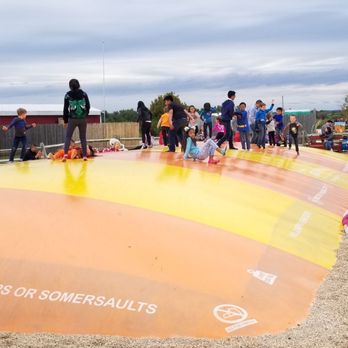 Abbey Farms - Pumpkin Patches Near Me - Aurora, Illinois Abbey Farms - Pumpkin Patches Near Me - Aurora, Illinois