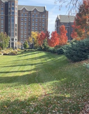 Belmont University by null