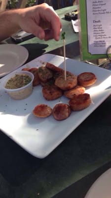 The Shimmy Shack by null