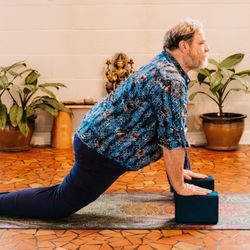 Wildflowers Yoga - Props for your use available :)