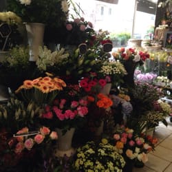 Il Etait Une Fleur