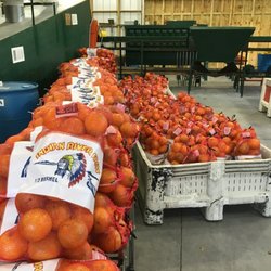 Ace High Farms