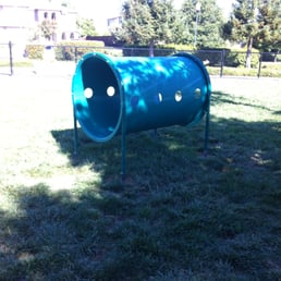 Play Structure on the small side for the little dogs
