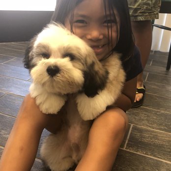 Pupscale Pet Salon - My daughter jacel is so happy to see BonBon - Pet Groomers Near Me - Montclair, California