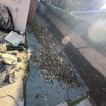 Bye Bye Basura - Hedge clippings - Junk Removal & Hauling Near Me - Los Angeles, California Bye Bye Basura - Hedge clippings - Junk Removal & Hauling Near Me - Los Angeles, California