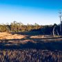 Photo of Cedar Point Tideland Trailhead