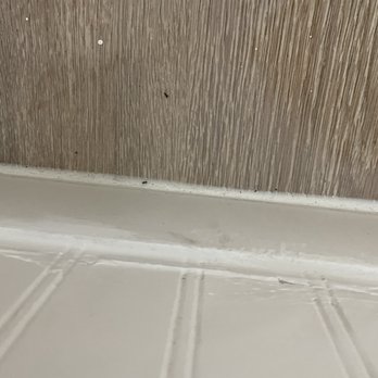 Sovana Inn - Ants!!! - Hotels Near Me - Medford, Oregon