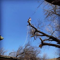 Lopez Tree Service