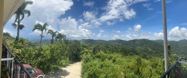 Sandra Farms Coffee by null