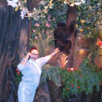 Rainforest Cafe - American Near Me - Atlantic City, New Jersey Rainforest Cafe - American Near Me - Atlantic City, New Jersey