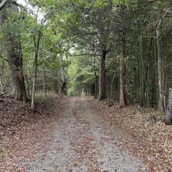 The road around Seven Oaks is lightly traveled and perfect for meditative walking.