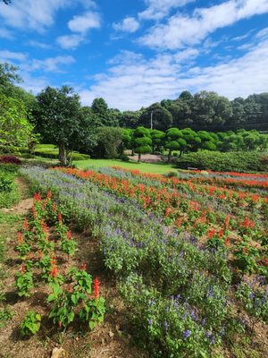 Nokonoshima Island by null