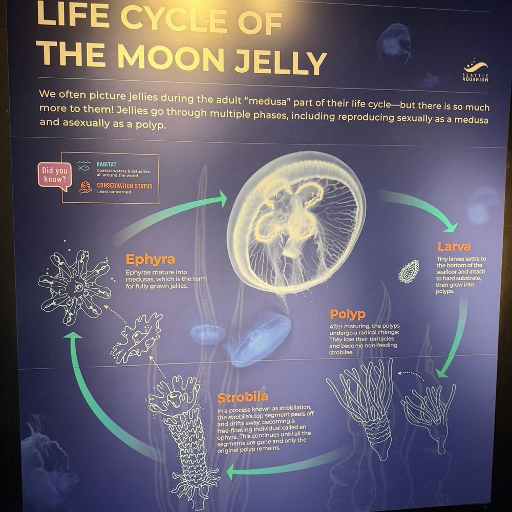 Seattle Aquarium - Aquariums Near Me - Seattle, Washington Seattle Aquarium - Aquariums Near Me - Seattle, Washington