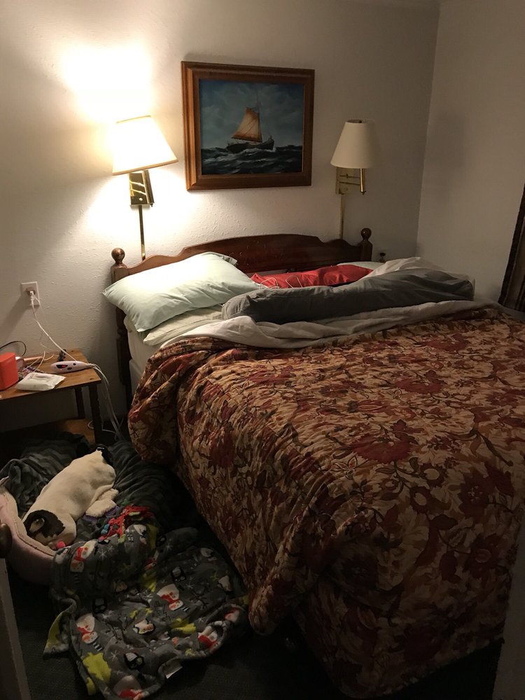 OCEANSIDE OCEAN FRONT CABINS Updated April 2024 23 Photos & 23