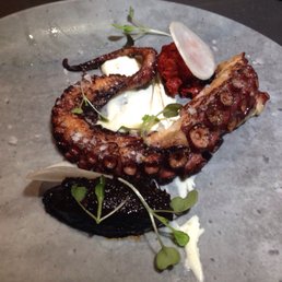 Octopus