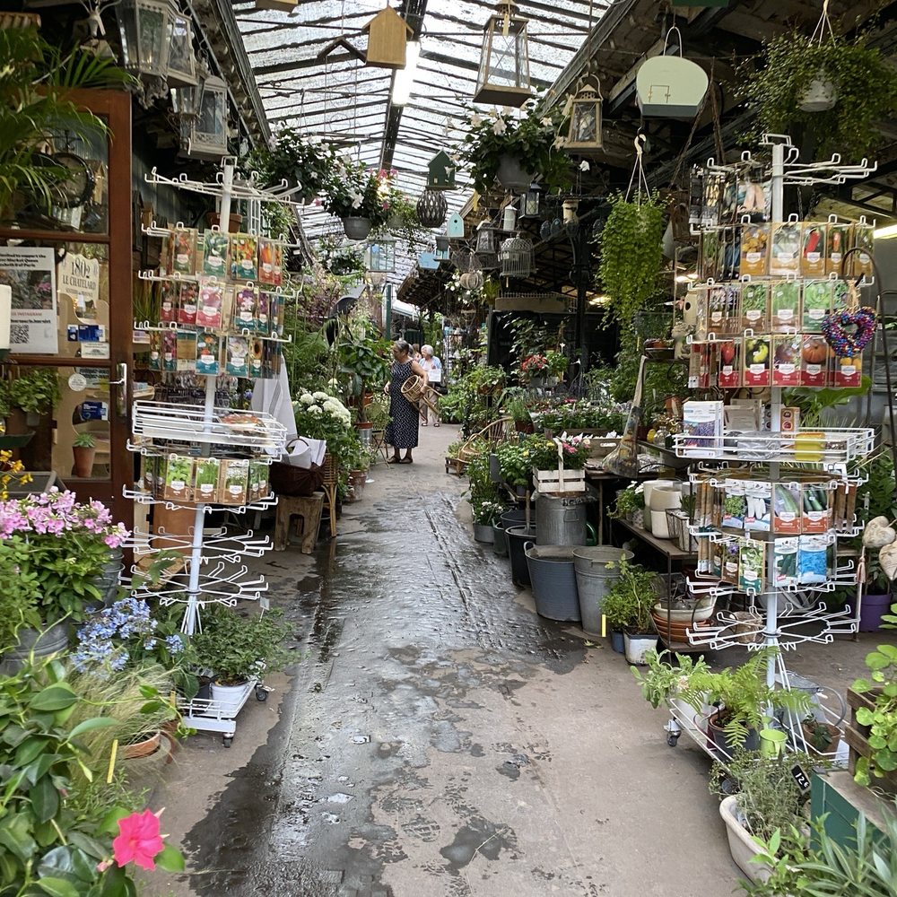 Marché aux Fleurs - Market - Florists Near Me - Paris, 75