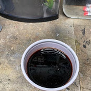 Quality Lube Express - The "new" oil in a cup - Oil Change Stations Near Me - Zachary, Louisiana