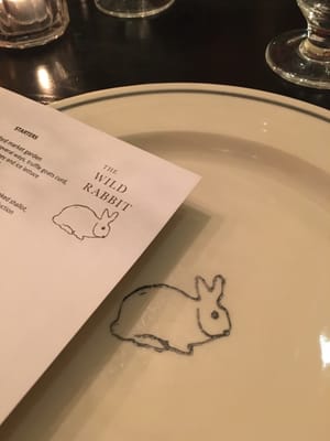 The Wild Rabbit by null