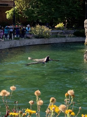 Prospect Park Zoo by null