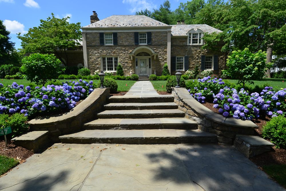 MARIO LANDSCAPING Updated September 2024 36 Photos & 12