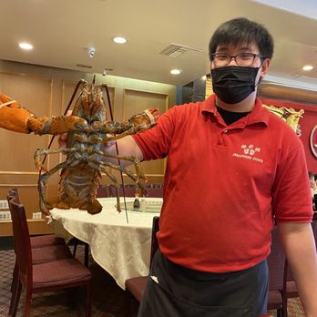 Seafood Cove 2 - Who is this?? Internet...find out his name!! - Dim Sum Near Me - Westminster, California Seafood Cove 2 - Who is this?? Internet...find out his name!! - Dim Sum Near Me - Westminster, California