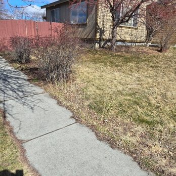 Lawn Pro's - before Pic of a front lawn needing work! - Lawn Services Near Me Lawn Pro's - before Pic of a front lawn needing work! - Lawn Services Near Me