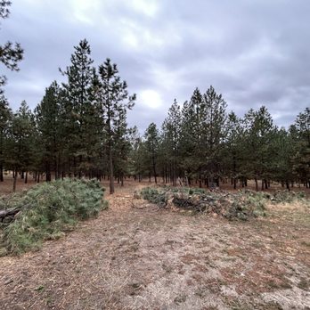 Fox Forestry - Tree Services Near Me Fox Forestry - Tree Services Near Me
