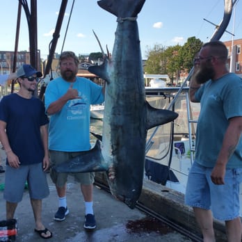 Gloucester Charter Connection - CAUGHT A SHARK! - Boat Charters Near Me - Gloucester, Massachusetts