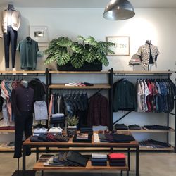 Bonobos