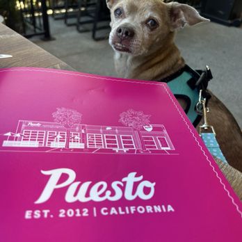 Puesto Concord - Mexican Near Me - Concord, California Puesto Concord - Mexican Near Me - Concord, California