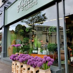 Reids Florists - Stunning purple allium outside our shop